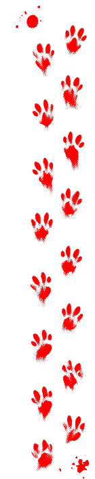 fvbydf